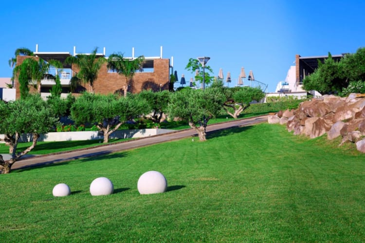 Garden views